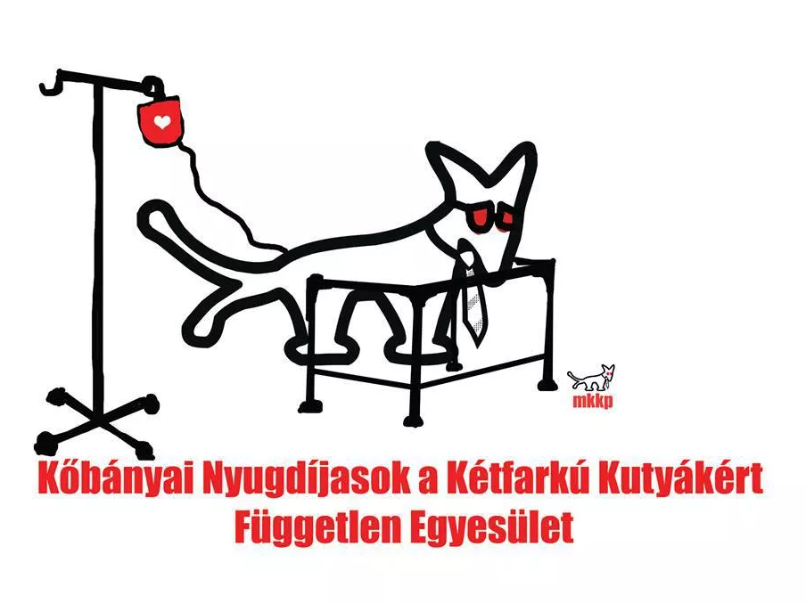 Itt a Kétfarkú Kutya Párt új reklámfilmje