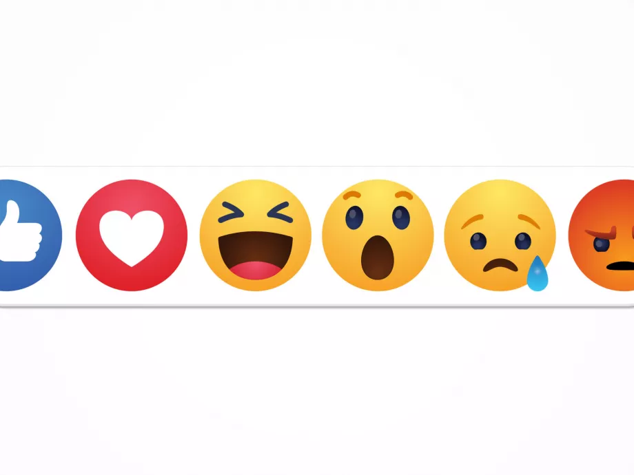 Facebook-képzések indulnak a szegedi egyetemen