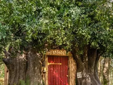 Kibérelhető Airbnb-n Micimackó háza a Százholdas pagonyban