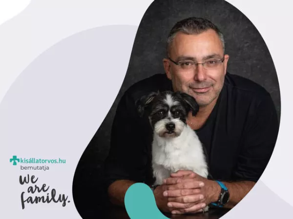 A Flow PR lett az MSD Animal Health regionális social lead-ügynöksége
