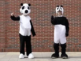 Tetszettek a zsűrinek a pandák