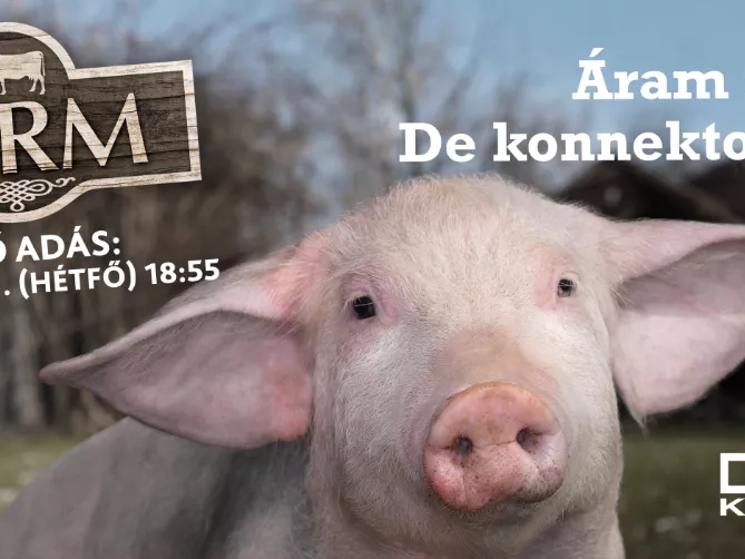 Ezekkel a plakátokkal hirdetik a Farmot