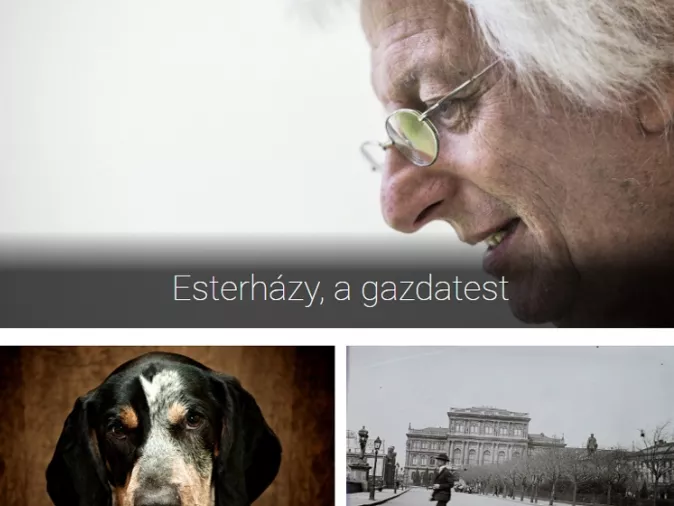 Elindult az Unikornis.hu