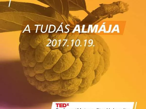 TED-et szervez Budapesten a METU