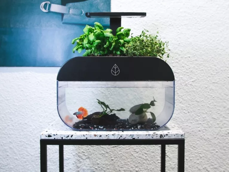 A világ első mini üvegházát rakta össze egy svéd startup