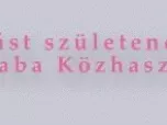 …a Lombikbaba Közhasznú Alapítványt