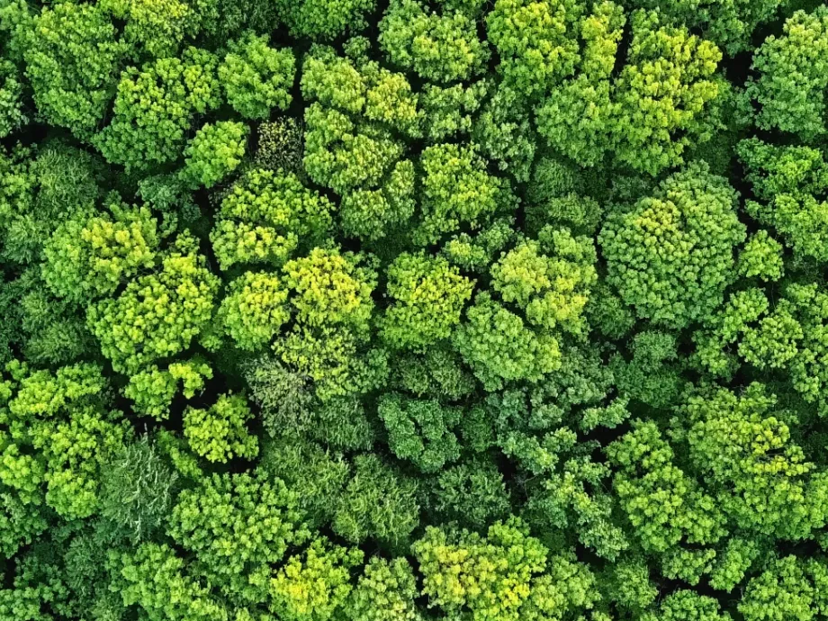 Egyedülálló eszközt fejlesztett a Progressive GreenHub