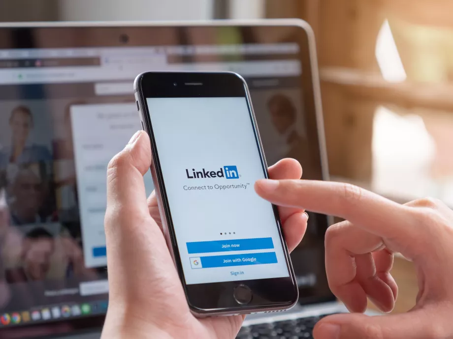 Főnökök a hálón, avagy a LinkedIn hazai nagyágyúi