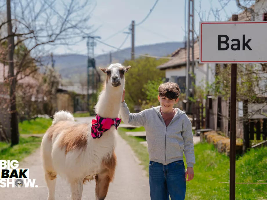 A digitális Messiás Bakra költözik – Reklám-e még, ha már történet?