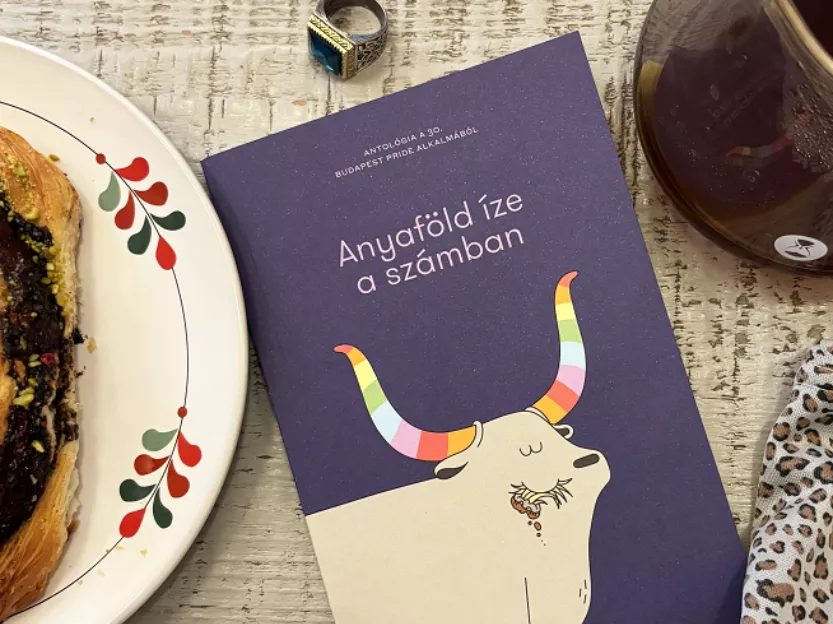 Mi is itt(hon) vagyunk – jön a Budapest Pride novelláskötete