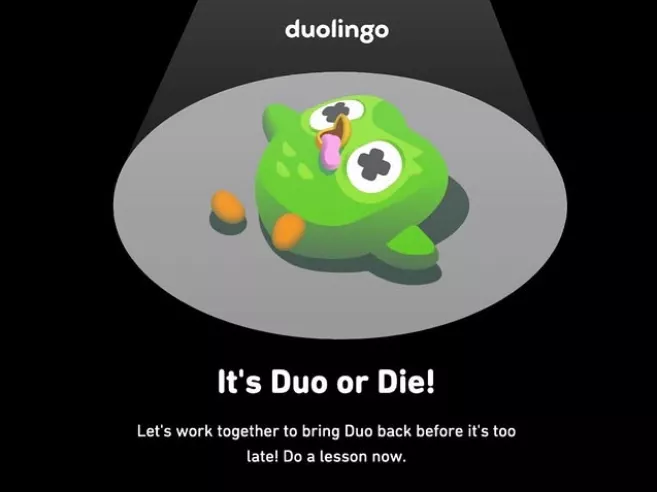 Duolingo bravúr: kinyiffantották a túlságosan pushi baglyot, és bevált