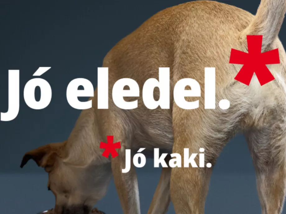 Tabutémából edukatív kampány: a kutyakakira épít új kommunikációt a Josera