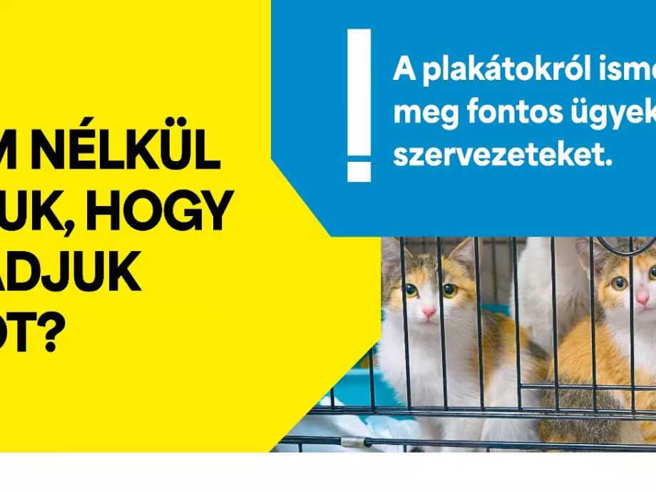 MRSZ kampány és javaslat: kevesebb vizuális terhelés és politikamentesség a közterületi reklámoknál