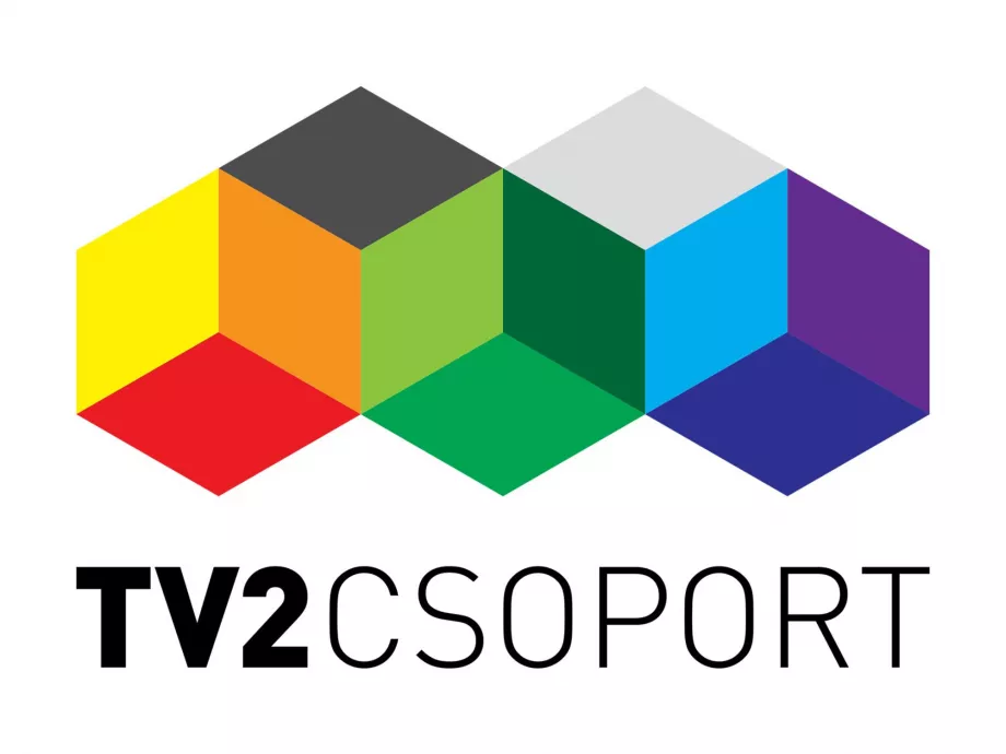 Megtépte a gazdasági válság a TV2-t, de stabilan áll a cégcsoport